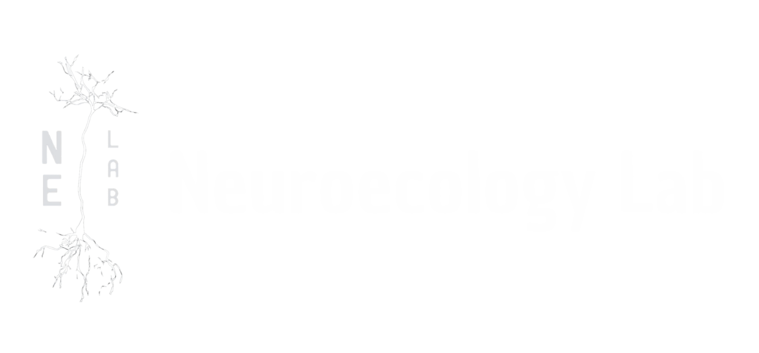 Neuroecology Lab